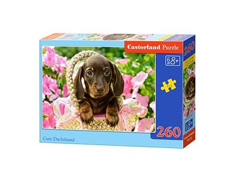 Puzzle Uroczy Jamnik Castorland 260el