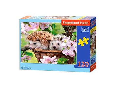 Puzzle Wiosenny Czas Castorland 120el