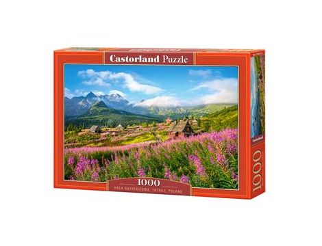 Puzzle Tatry Hala Gąsienicowa Castorland 1000el