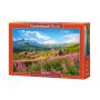 Puzzle Tatry Hala Gąsienicowa Castorland 1000el