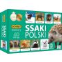 Gra Ssaki Polski Memory Mini Adamigo - 2