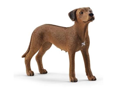 Figurka Pies Rhodesian Ridgeback Schleich