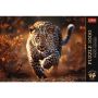 Puzzle Dziki Leopard Trefl 1000el - 4