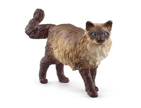 Figurka Kot Ragdoll Schleich