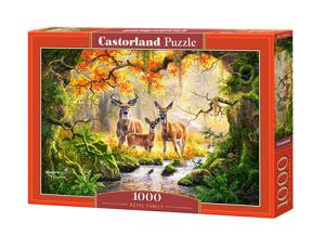 Puzzle Rodzina Królewska Castorland 1000el