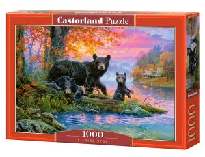 Puzzle Misie Miejsce Połowu Castorland 1000el