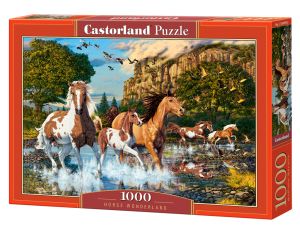 Puzzle Kraina Koni Castorland 1000el