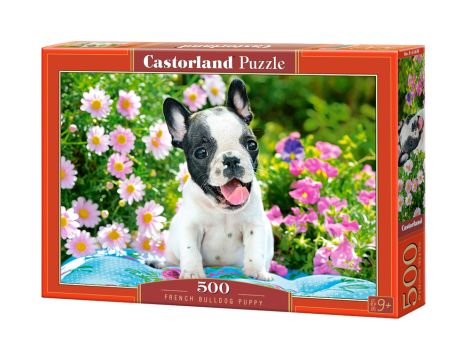 Puzzle Szczenię Buldoga Francuskiego Castorland 500el