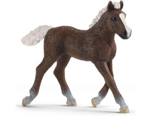 Figurka Koń Szwardzwaldzki Źrebię Schleich