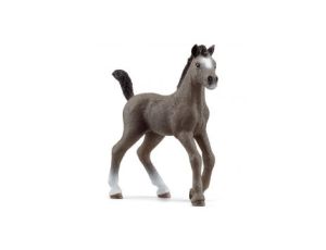 Figurka Źrebię Rasy Cheval De Selle Francais Schleich