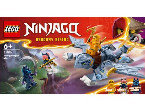 Klocki Smoczątko Riyu LEGO Ninjago - 8